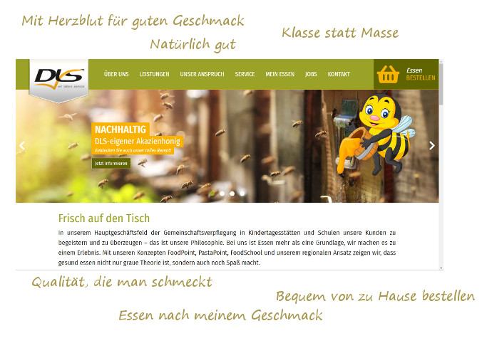 bild dls