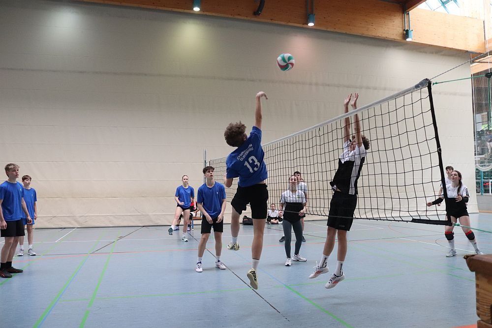 abwehrarbeit