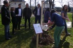 Baumpflanzaktion 2015