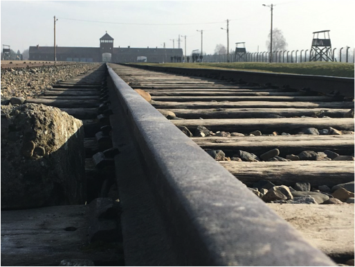 auschwitz2