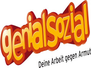 genialsozial 2013